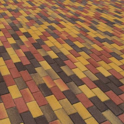 Barabás Gerecse térkő 6 cm őszilomb